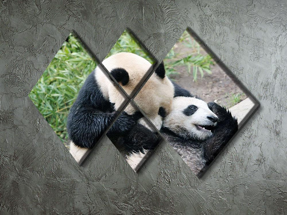 A beautiful multi-panel canvas artwork featuring a panda bear and her cub, divided into four equal sections for a striking display.