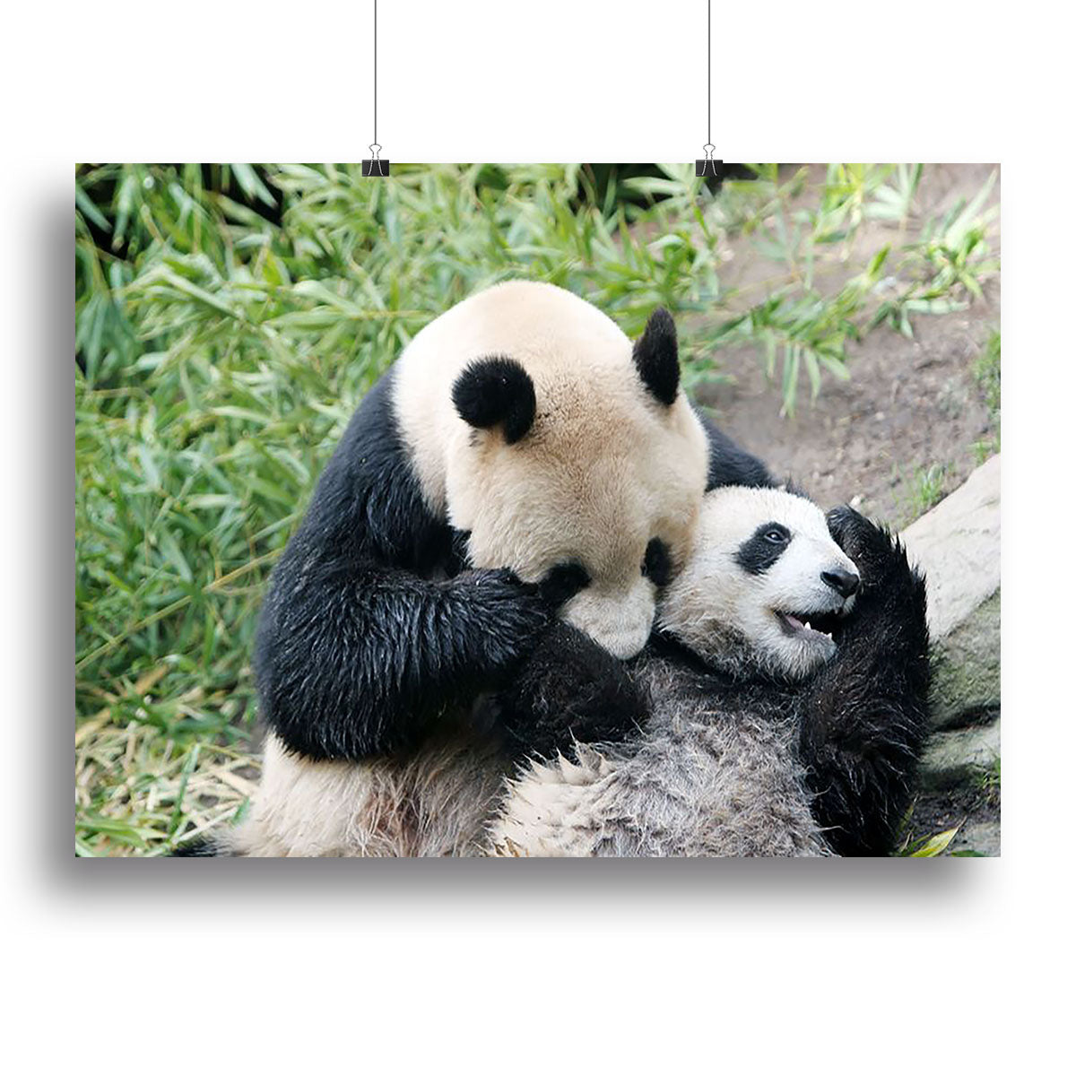 A beautiful canvas print featuring a panda bear and her cub, showcasing their bond in a serene natural setting.