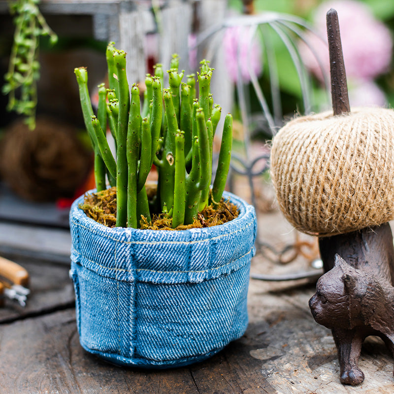 Pants for Plants Blue Jeans Cement Flower Pot showcasing a stylish blue jeans design, perfect for indoor plants.