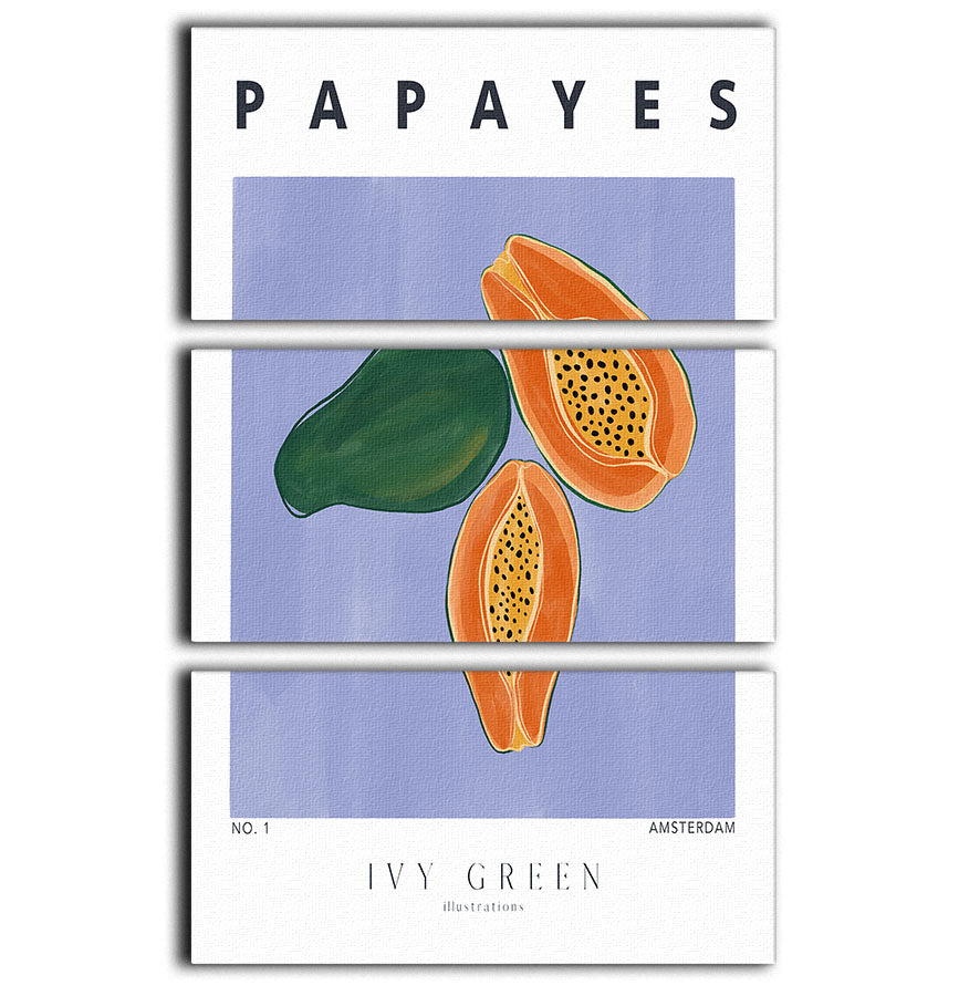 Papayes 3 Split Panel Canvas Print featuring three cohesive canvases with elegant designs, perfect for enhancing any room decor.