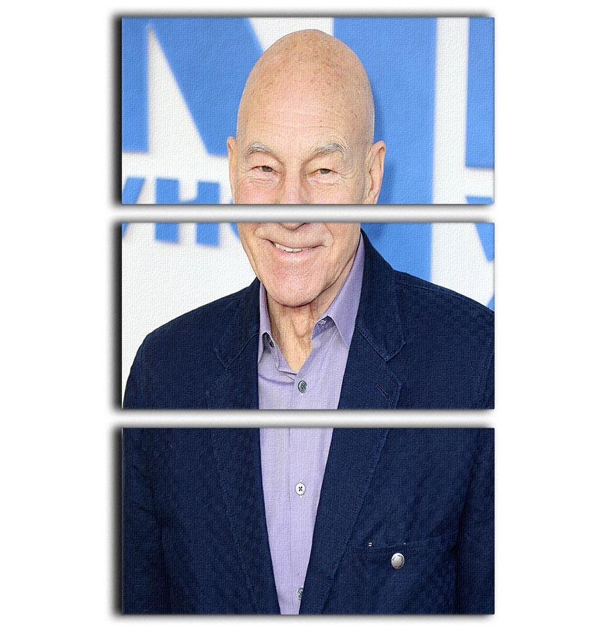 Three-panel canvas art featuring Patrick Stewart from The Kid Who Would Be King, showcasing vibrant colors and intricate details.