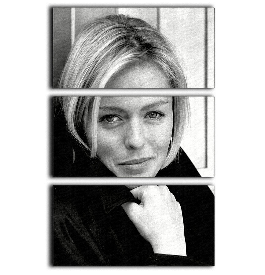 Patsy Kensit 3 Split Panel Canvas Print showcasing vibrant colors and elegant design, perfect for home decor.