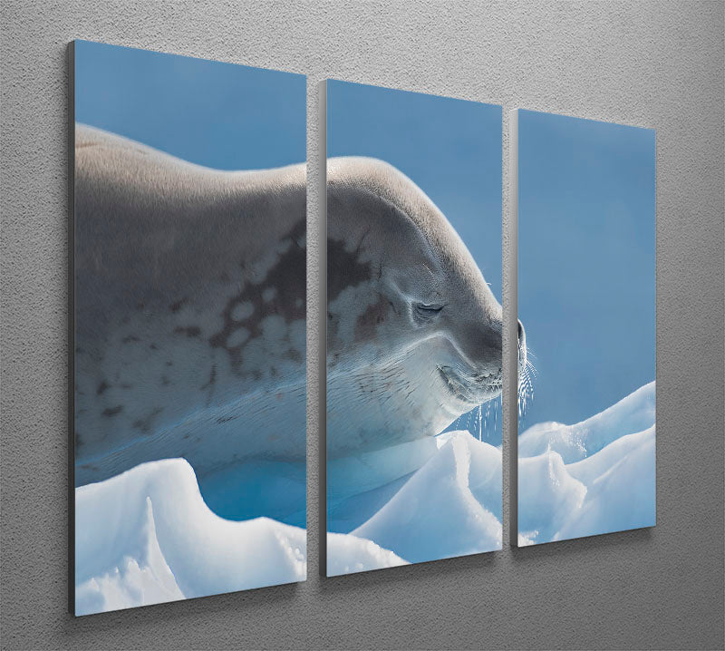 A beautiful 3-panel canvas print featuring a serene seal design, perfect for enhancing home decor.