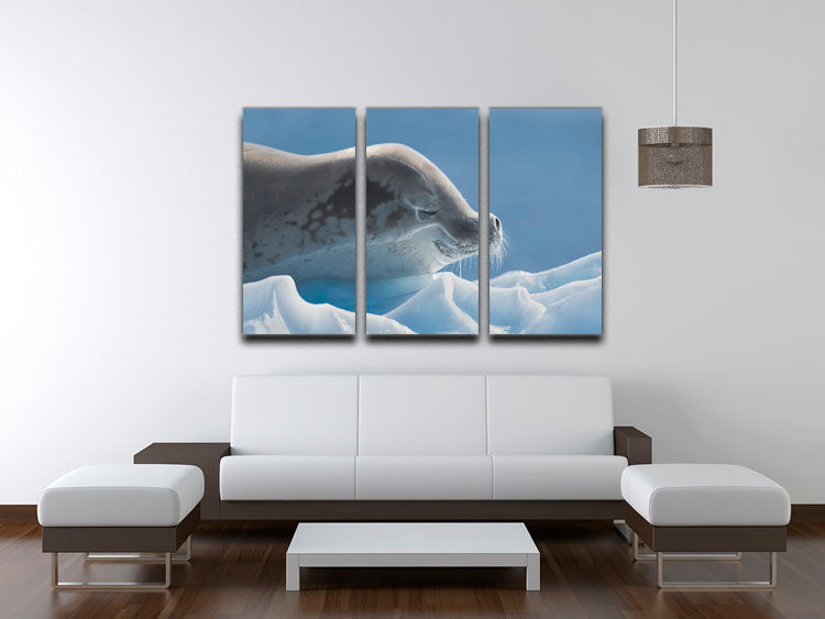 A beautiful 3-panel canvas print featuring a serene seal design, perfect for enhancing home decor.
