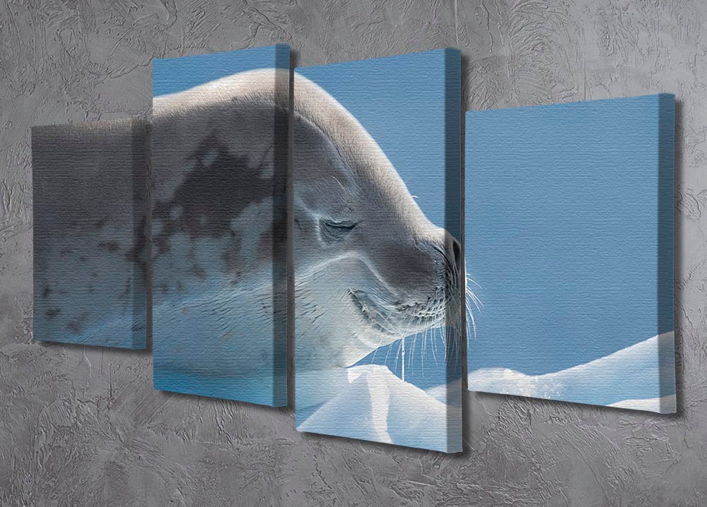A serene 4-split canvas artwork featuring a peaceful seal, elegantly displayed in four panels.