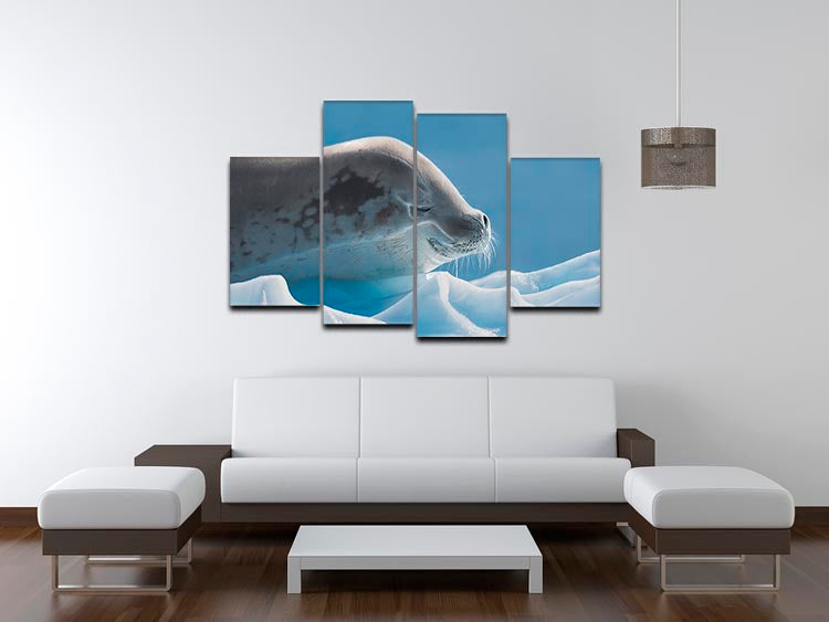 A serene 4-split canvas artwork featuring a peaceful seal, elegantly displayed in four panels.