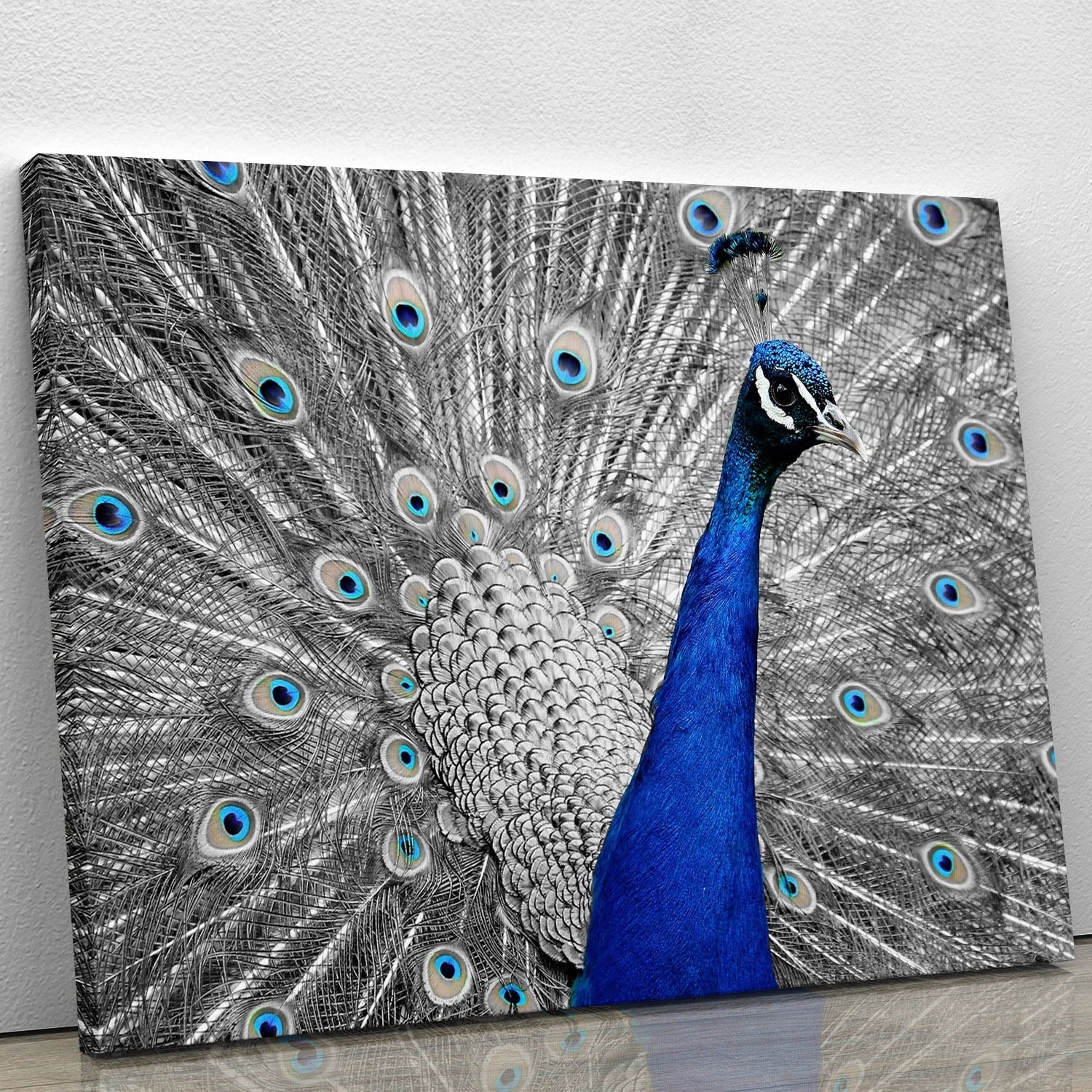 A vibrant peacock canvas print showcasing intricate details and rich colors, perfect for home decor.
