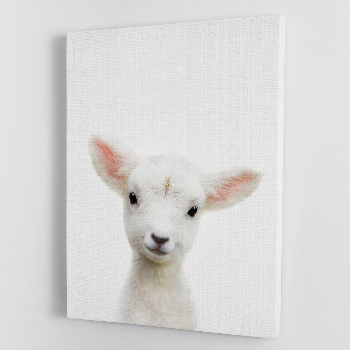 A charming canvas print featuring a cute baby sheep peeking out, perfect for nursery decor.