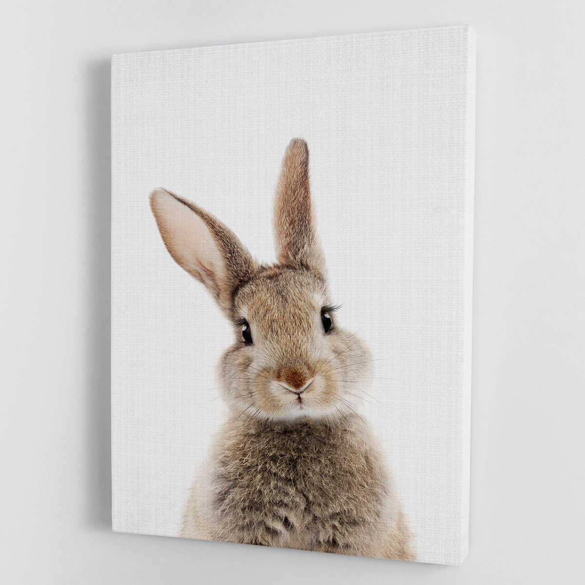 A charming canvas print featuring a playful bunny peeking out, perfect for home decor.