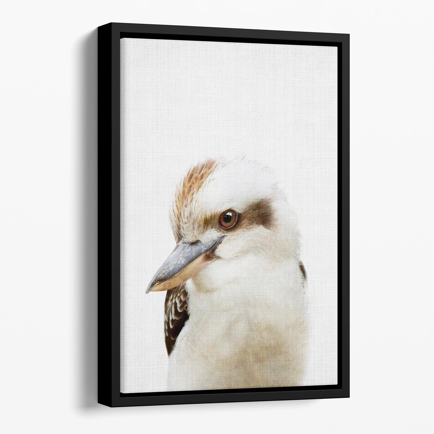 A vibrant abstract canvas featuring a kookaburra, elegantly framed in a floating wooden frame.