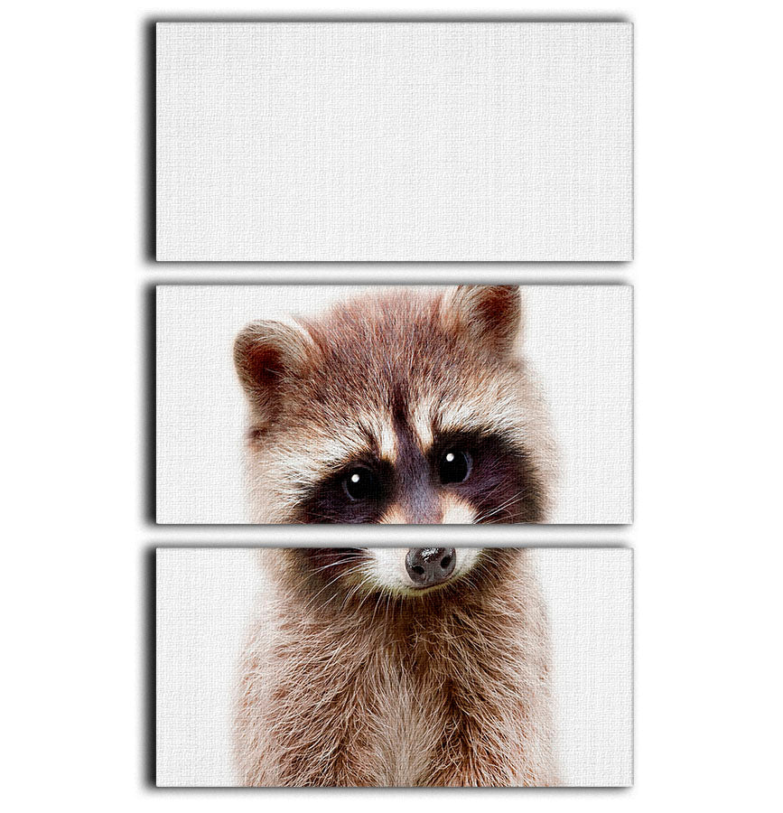 A captivating 3-panel canvas print featuring a playful raccoon, perfect for home decor.