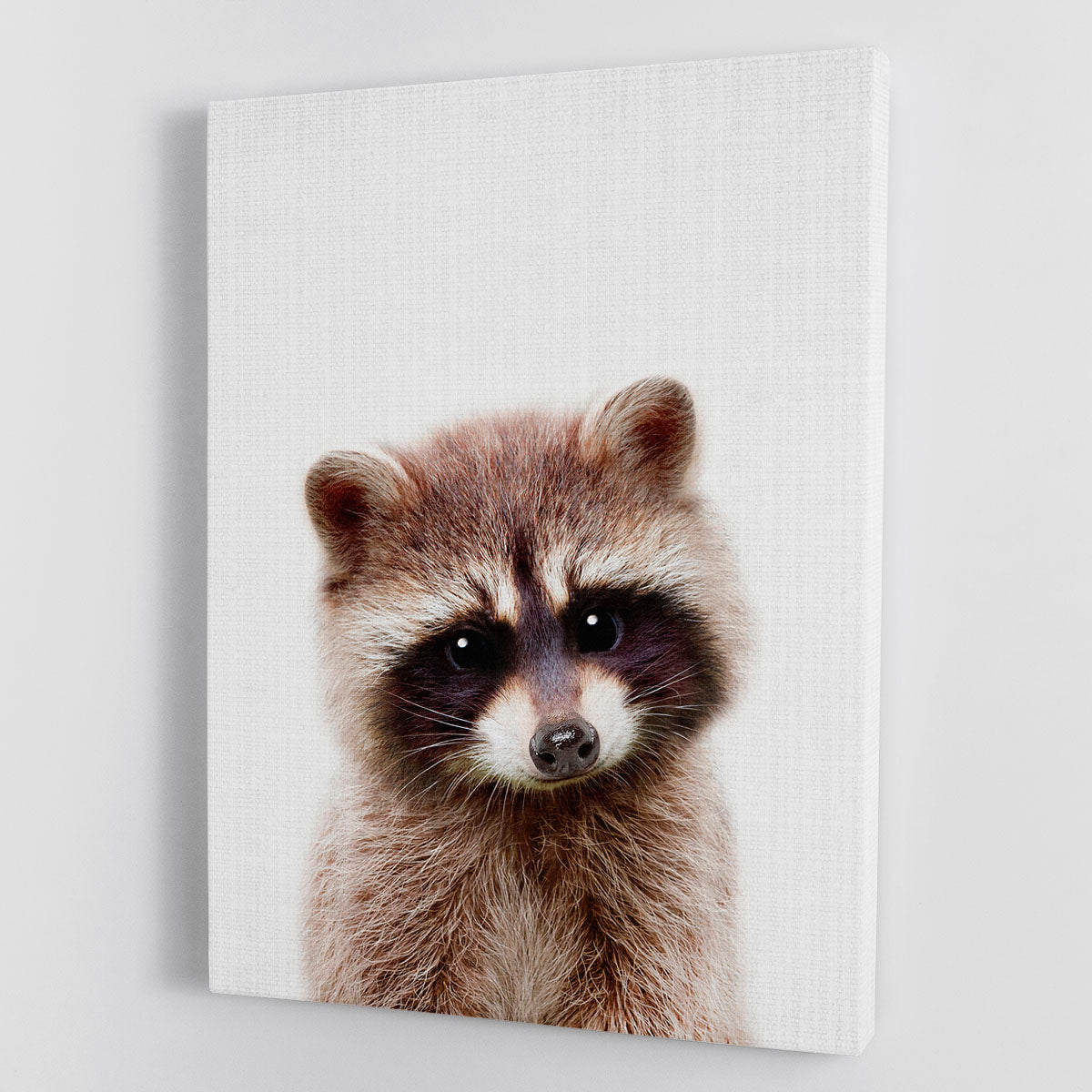 A charming canvas print featuring a raccoon peeking out, perfect for home decor.