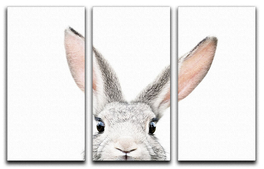 Peeking Bunny 3 Split Panel Canvas Print featuring a charming bunny design across three canvases, ideal for home decor.