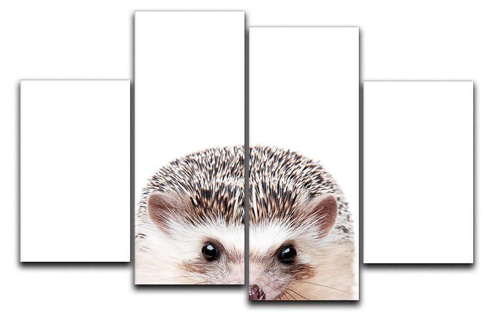 A charming 4-split canvas artwork featuring a hedgehog peeking out, creating a whimsical and dynamic visual effect.