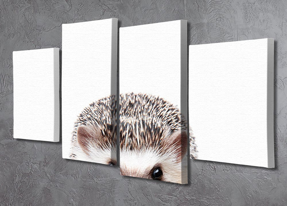 A charming 4-split canvas artwork featuring a hedgehog peeking out, creating a whimsical and dynamic visual effect.