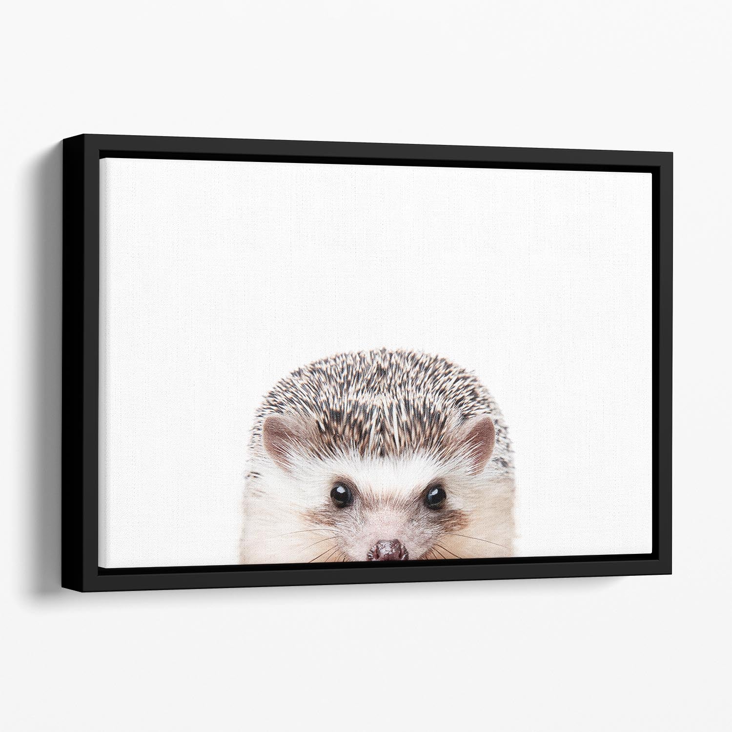 Peeking Hedgehog Floating Framed Canvas featuring a colorful abstract design with a hedgehog.