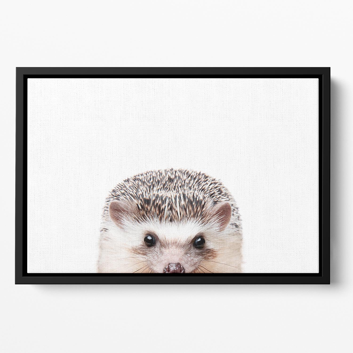 Peeking Hedgehog Floating Framed Canvas featuring a colorful abstract design with a hedgehog.