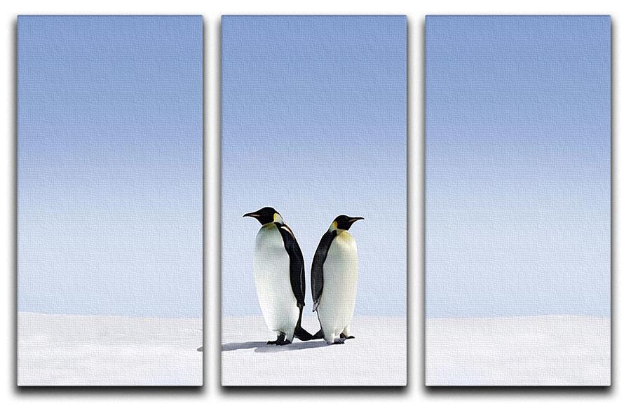 A vibrant 3-panel canvas print featuring playful penguins, perfect for home or office decor.