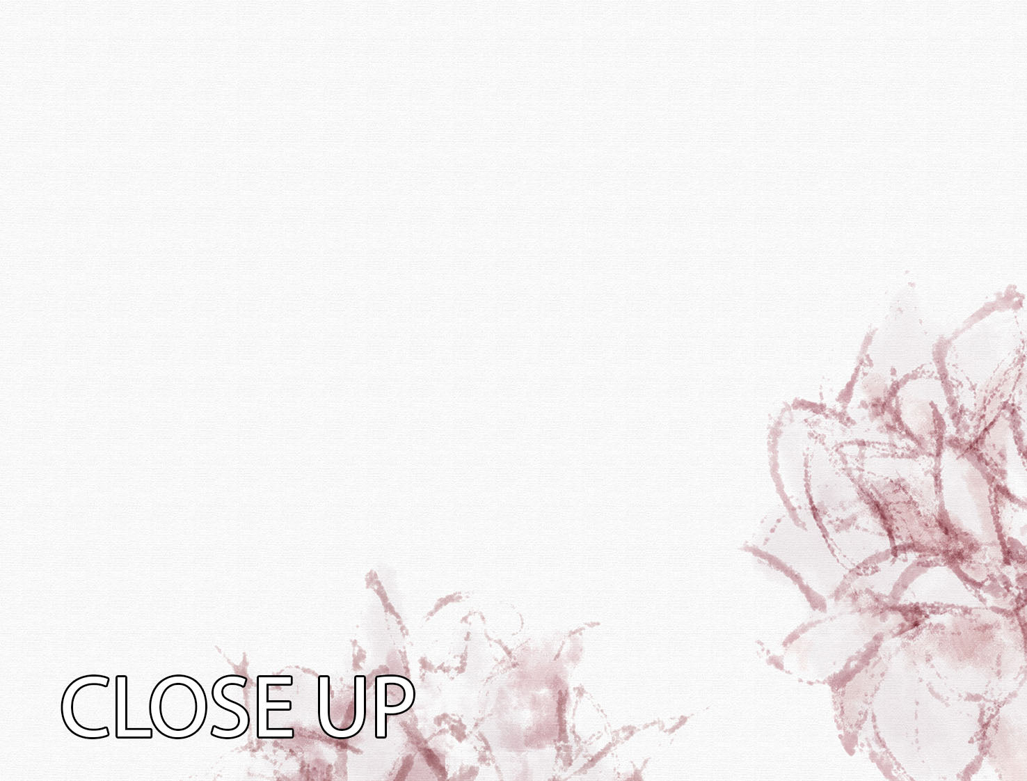 Peony 03 3 Split Panel Canvas Print featuring vibrant floral design across three panels.