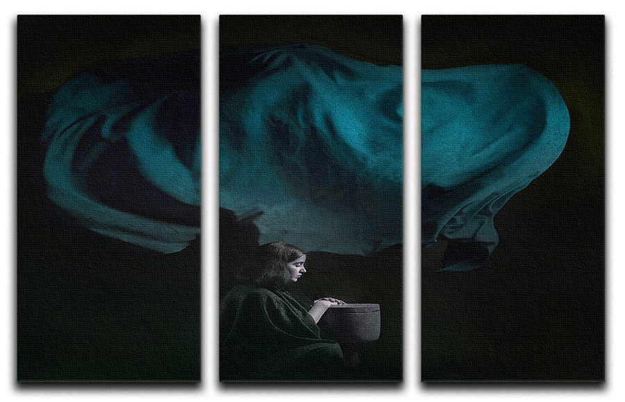 A beautiful 3-panel canvas print featuring a Persian girl, showcasing vibrant colors and intricate details, perfect for home decor.