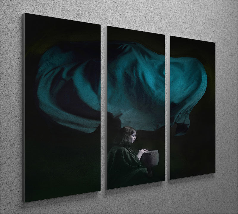 A beautiful 3-panel canvas print featuring a Persian girl, showcasing vibrant colors and intricate details, perfect for home decor.