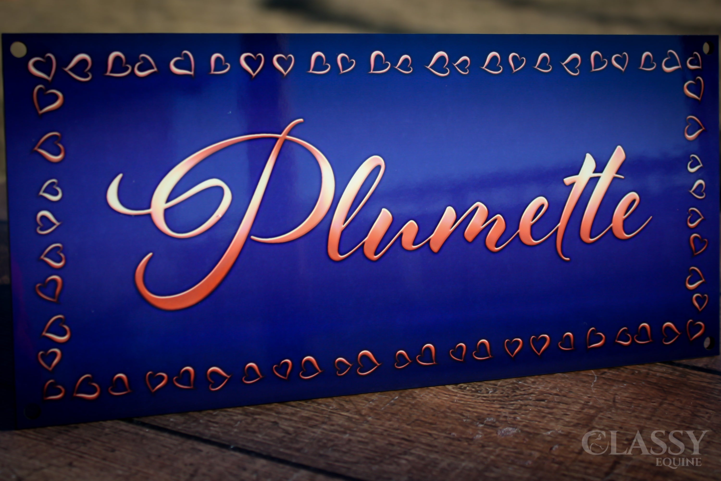 Personalized horse stall plaque with glossy finish, customizable colors and graphics, perfect for stalls and paddocks.