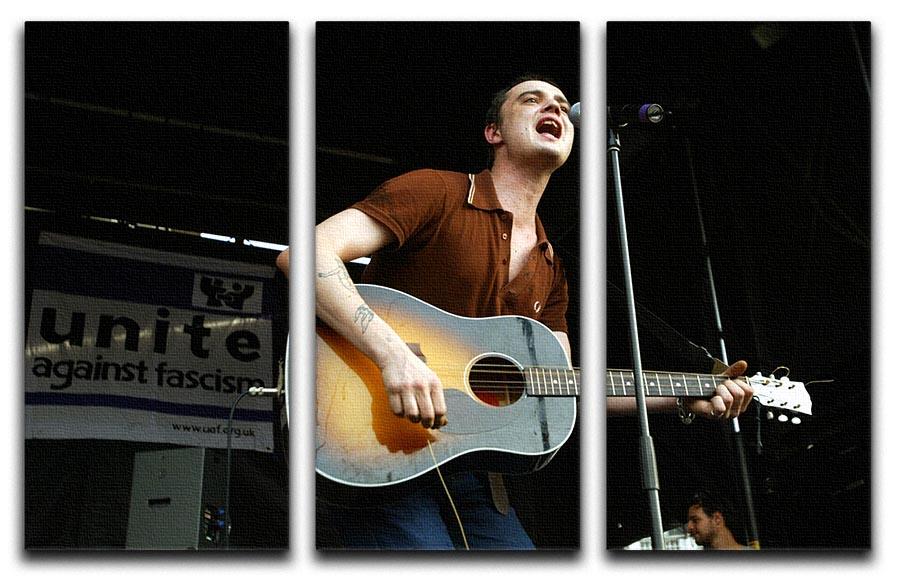 A stunning 3-panel canvas print featuring Pete Doherty performing on stage in 2005, showcasing vibrant colors and dynamic imagery.