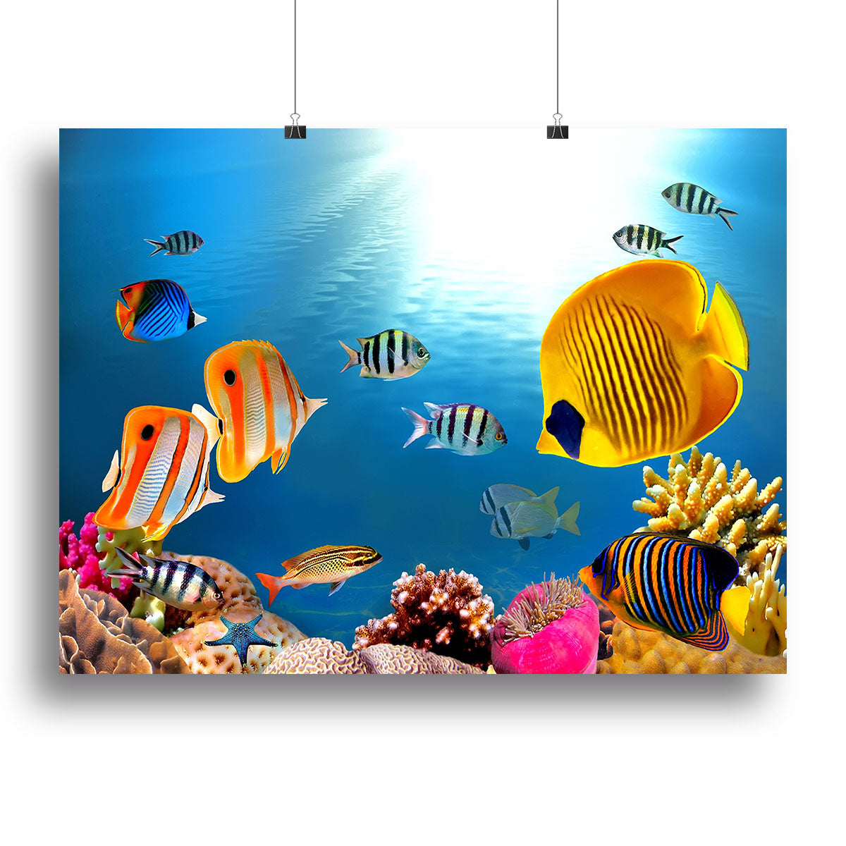 A vibrant coral colony canvas print showcasing intricate coral details and colors, perfect for home decor.