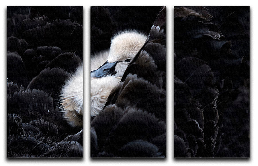 A beautiful 3-panel canvas print featuring vibrant colors and intricate designs, perfect for enhancing any living space.