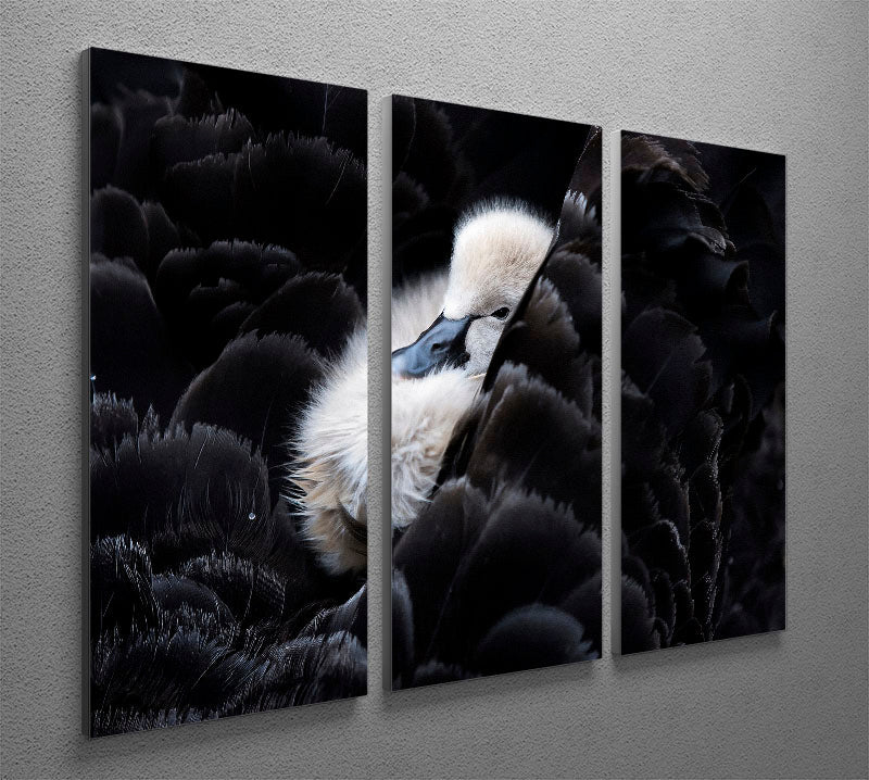 A beautiful 3-panel canvas print featuring vibrant colors and intricate designs, perfect for enhancing any living space.