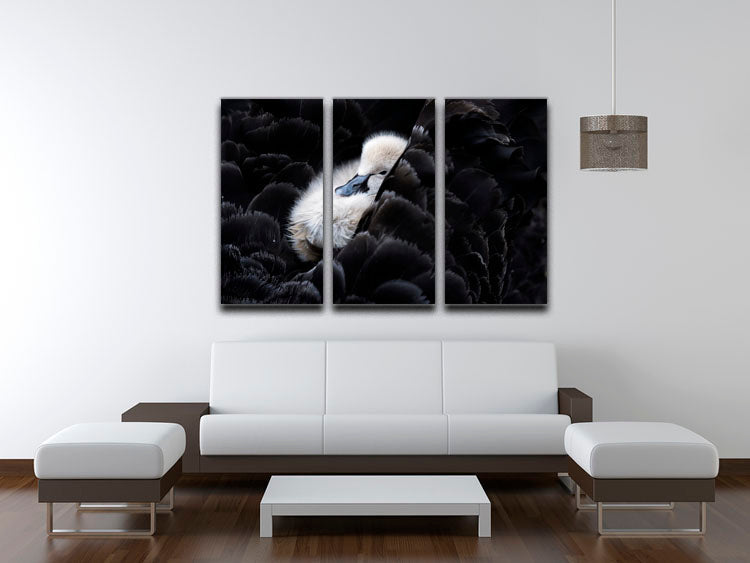 A beautiful 3-panel canvas print featuring vibrant colors and intricate designs, perfect for enhancing any living space.