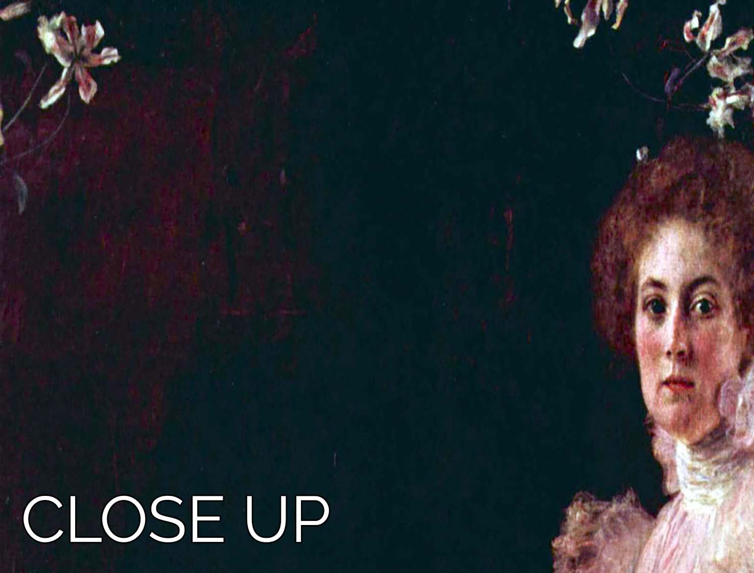 A stunning 3-panel canvas print featuring Sonja Knips by Klimt, showcasing intricate details and vibrant colors.