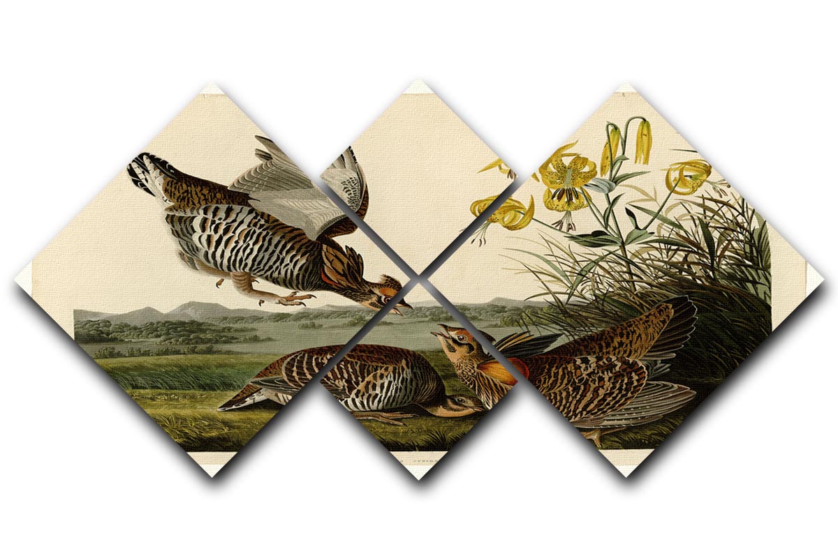 A beautiful multi-panel canvas artwork featuring the Pinnated Grouse, showcasing vibrant colors and intricate details across four square sections.