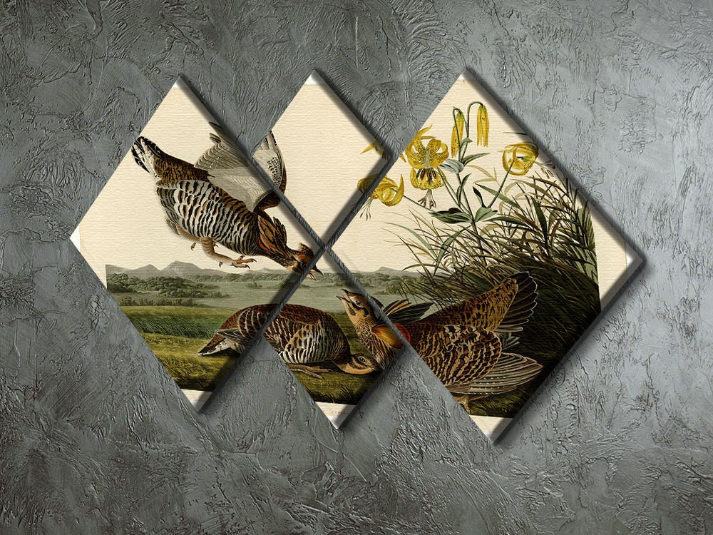 A beautiful multi-panel canvas artwork featuring the Pinnated Grouse, showcasing vibrant colors and intricate details across four square sections.