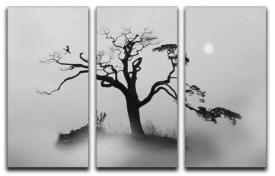 A serene 3-panel canvas print featuring pine trees in fog, creating a tranquil atmosphere.