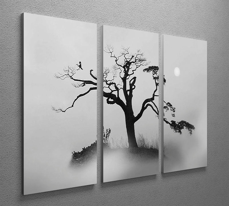 A serene 3-panel canvas print featuring pine trees in fog, creating a tranquil atmosphere.