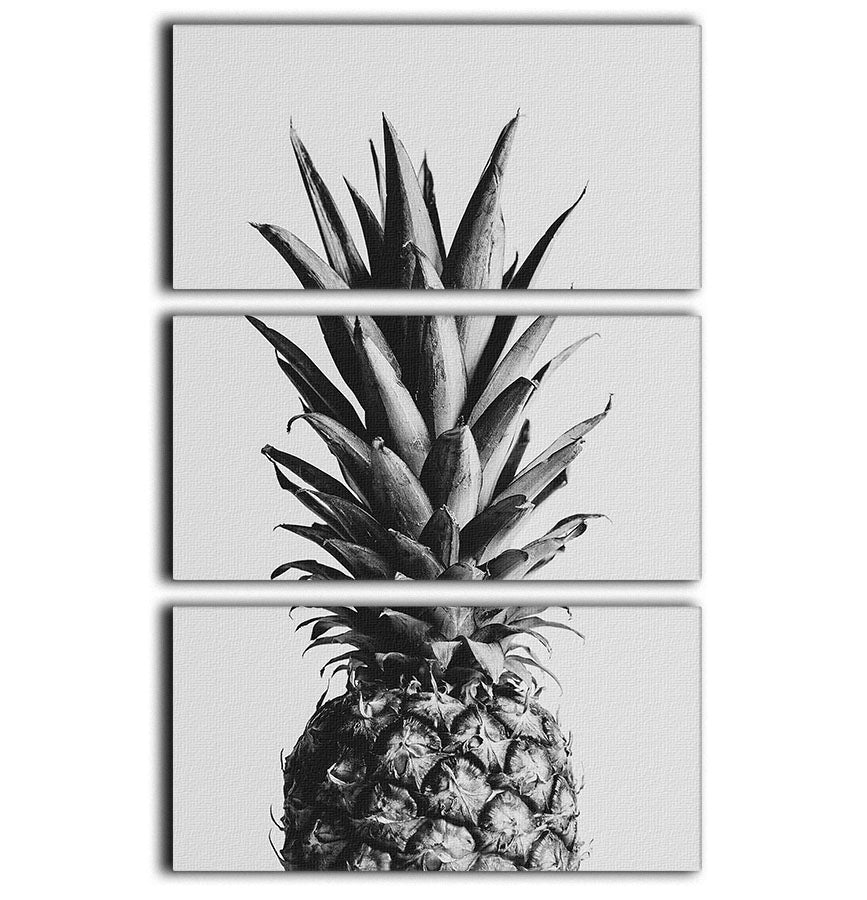 Three-panel canvas print featuring a stylish black and white pineapple design, perfect for modern decor.