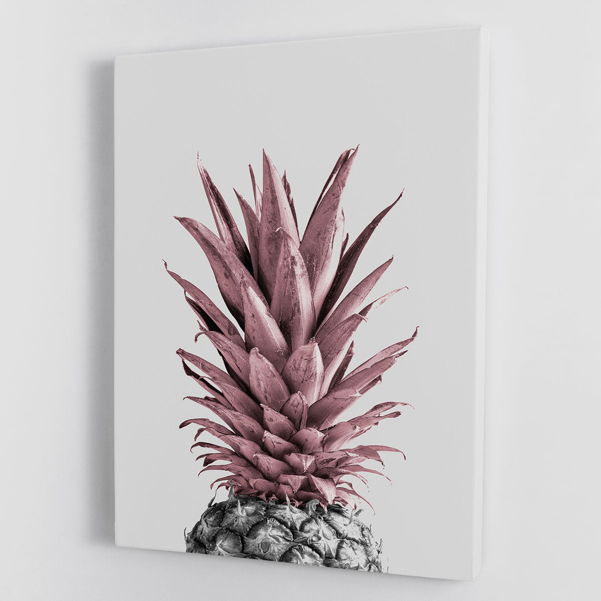 Pineapple Pink 04 canvas print featuring vibrant colors and modern design, perfect for home decor.