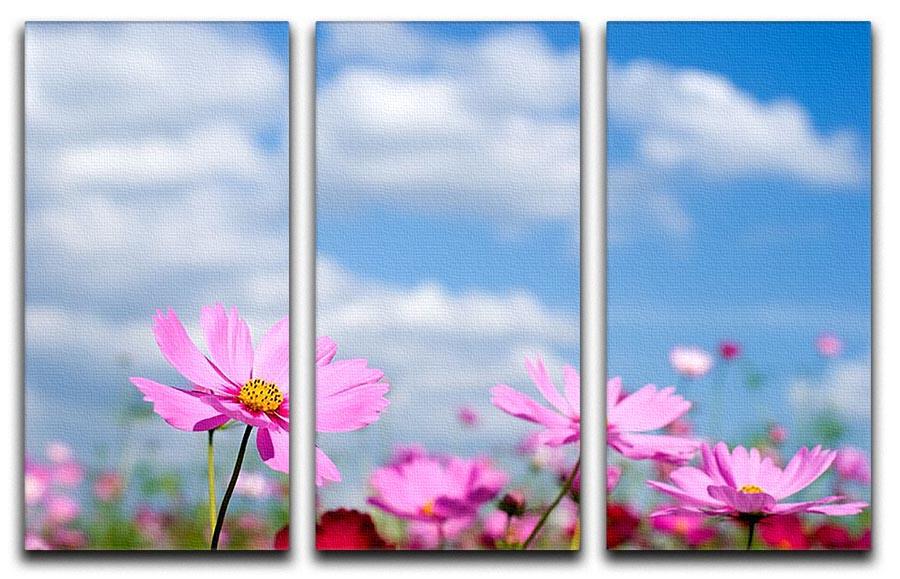 A beautiful 3-panel canvas print featuring a pink cosmos field under a blue sky, perfect for home decor.