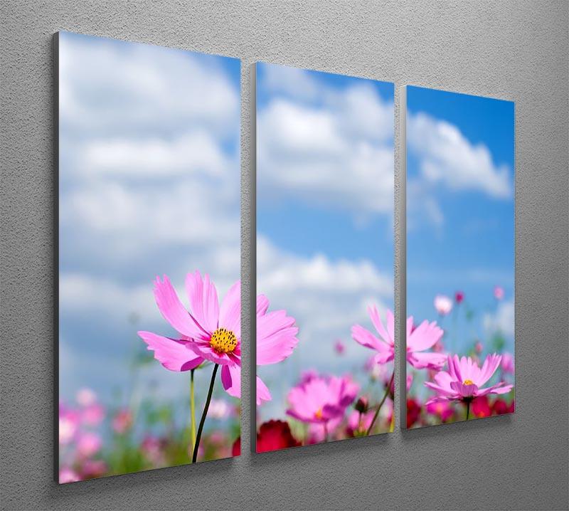 A beautiful 3-panel canvas print featuring a pink cosmos field under a blue sky, perfect for home decor.