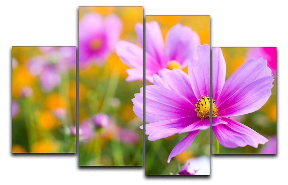 A beautiful 4-split canvas artwork featuring vibrant pink cosmos flowers in a flower field, creating a dynamic and colorful display.