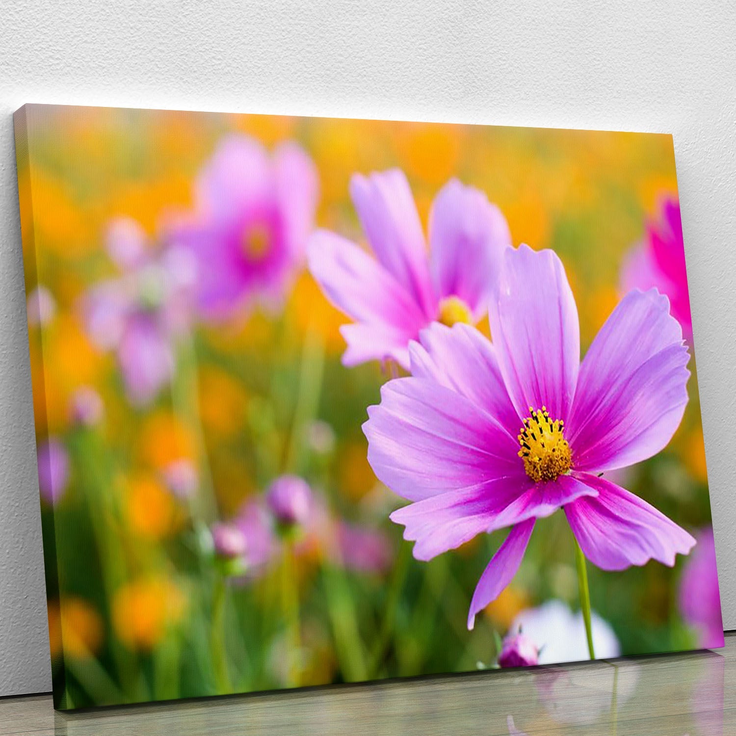 A vibrant Pink Cosmos Canvas Print showcasing beautiful pink flowers in a field, perfect for home decor.