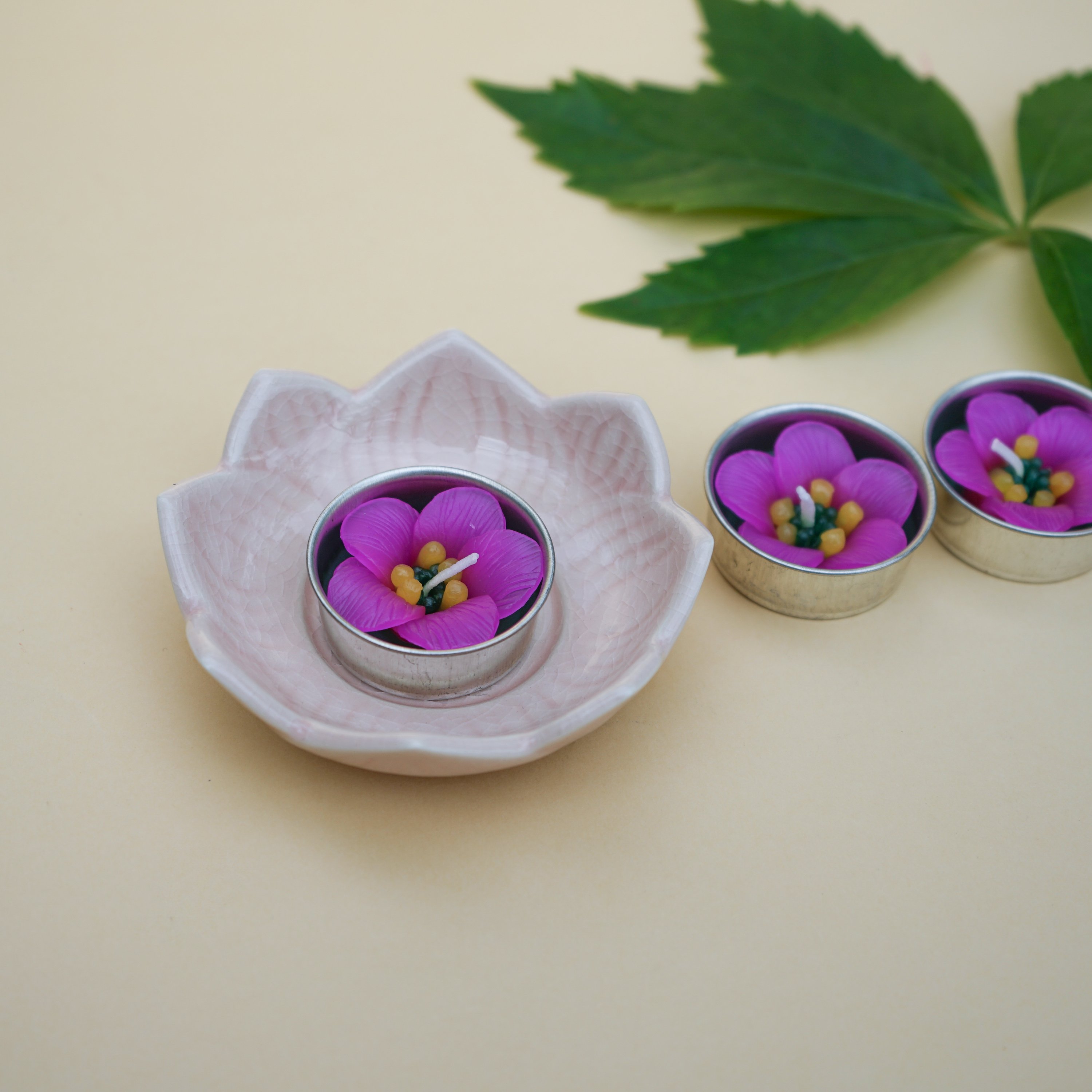 A set of Pink Escallonia Scented Tealights, showcasing their beautiful pink flower design and delicate petals, perfect for home decor.