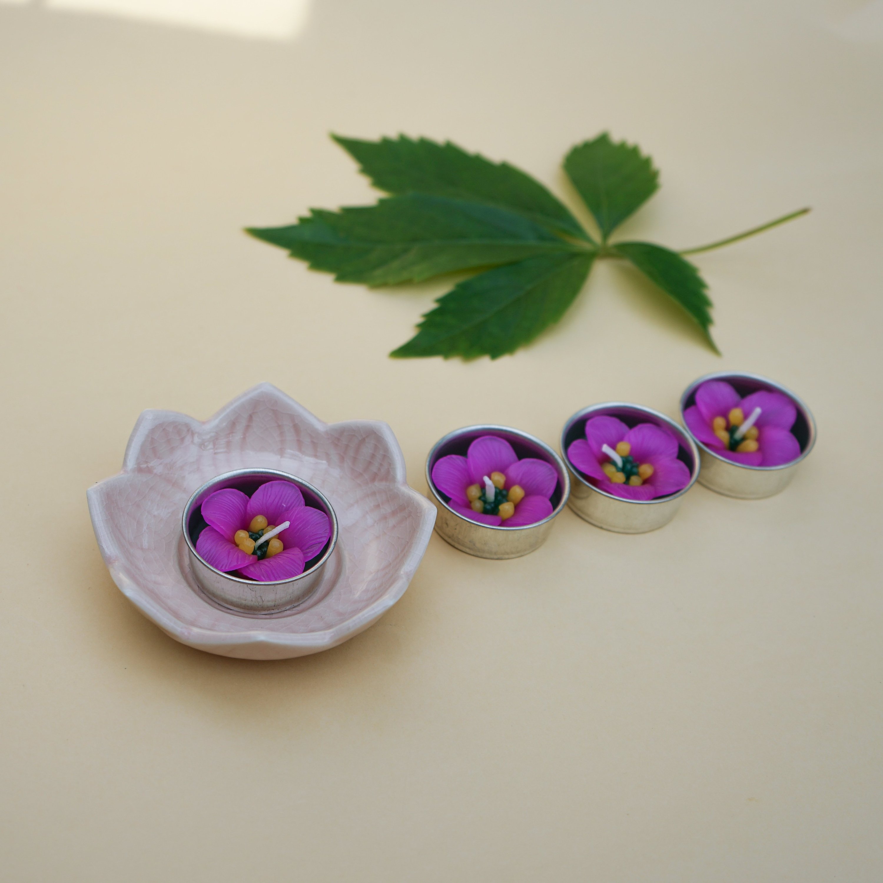 A set of Pink Escallonia Scented Tealights, showcasing their beautiful pink flower design and delicate petals, perfect for home decor.