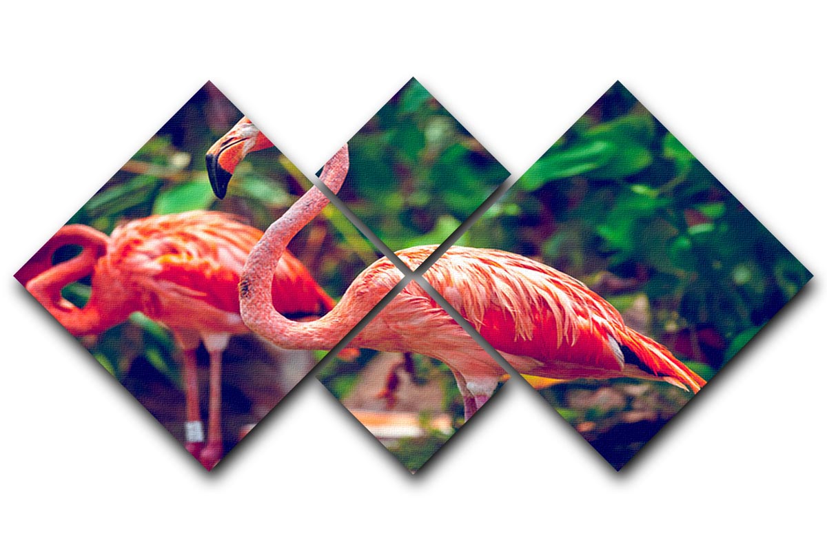 Close-up of a pink flamingo in a Singapore zoo, displayed on a 4-square multi-panel canvas artwork.