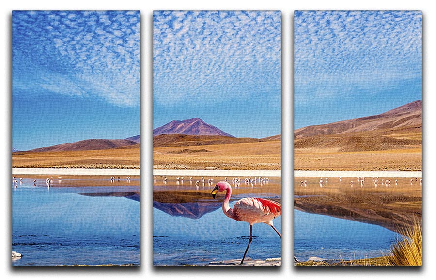 A vibrant 3-panel canvas print featuring a pink flamingo walking through a scenic background, perfect for home decor.