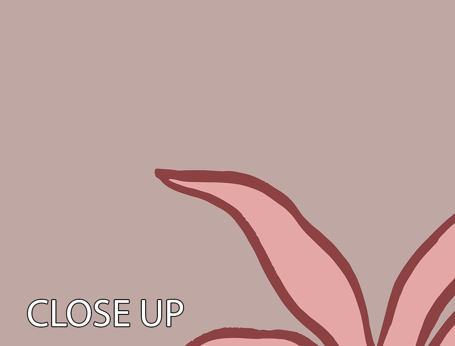 Pink Lemon 3 Split Panel Canvas Print featuring vibrant colors and modern design, perfect for enhancing any room's decor.