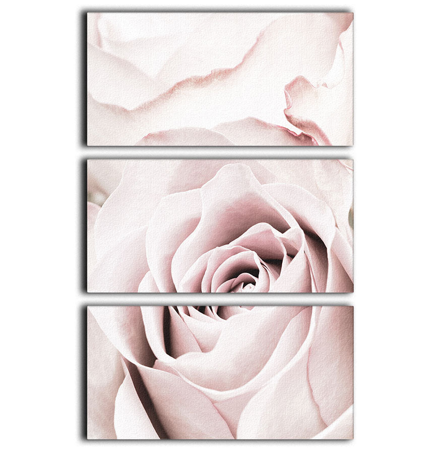 Pink Rose No 05 3 Split Panel Canvas Print showcasing vibrant pink roses on a stylish canvas.