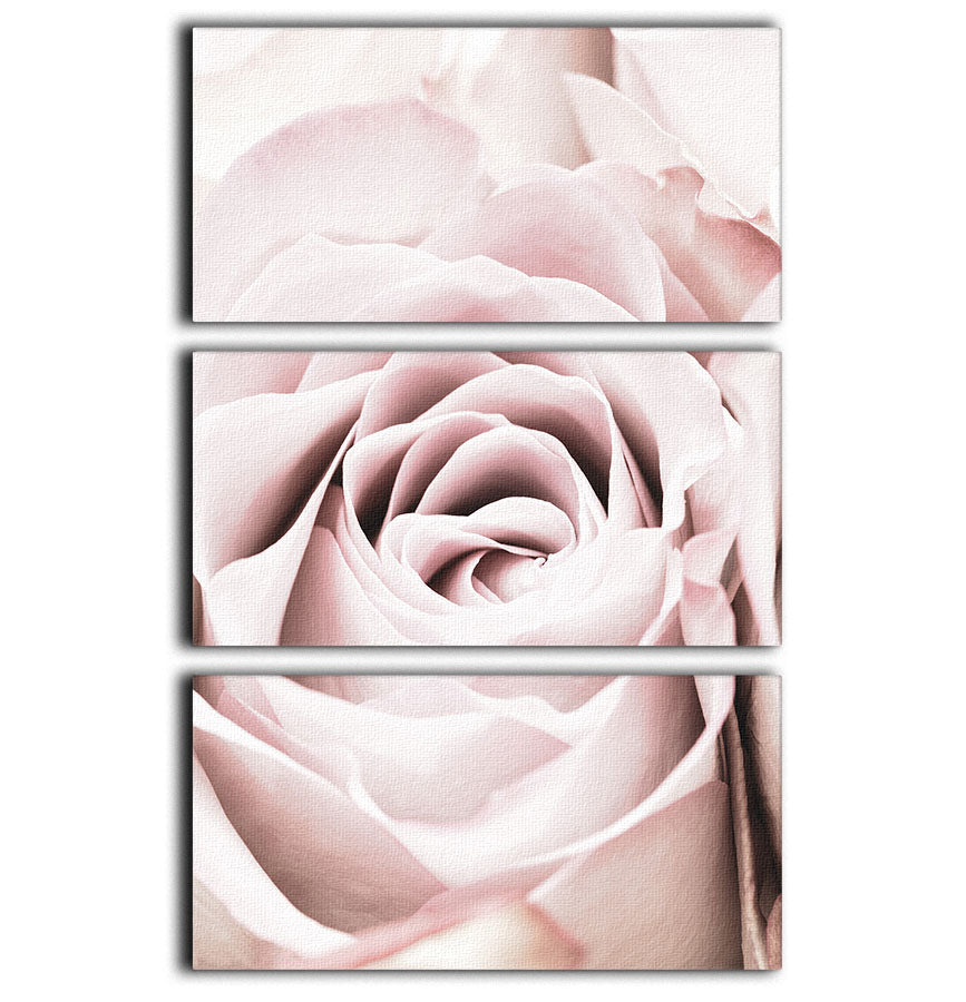 A beautiful 3-panel canvas print featuring pink roses, elegantly designed to enhance any room's decor.