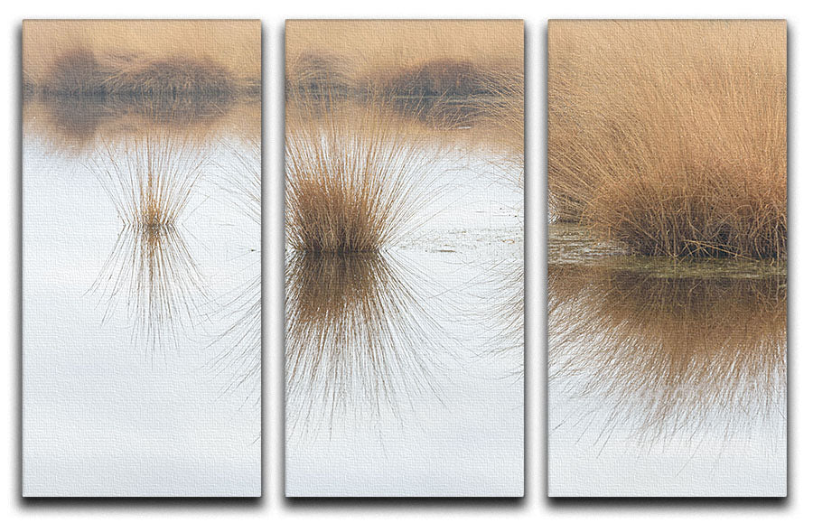 Piping Straw 3 Split Panel Canvas Print showcasing three elegant canvases with a cohesive design, perfect for home or office decor.